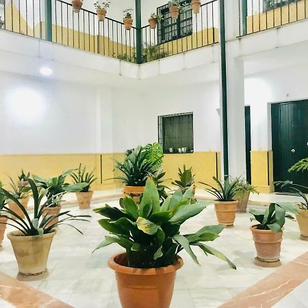 Los Patios De La Juderia 塞维利亚 外观 照片
